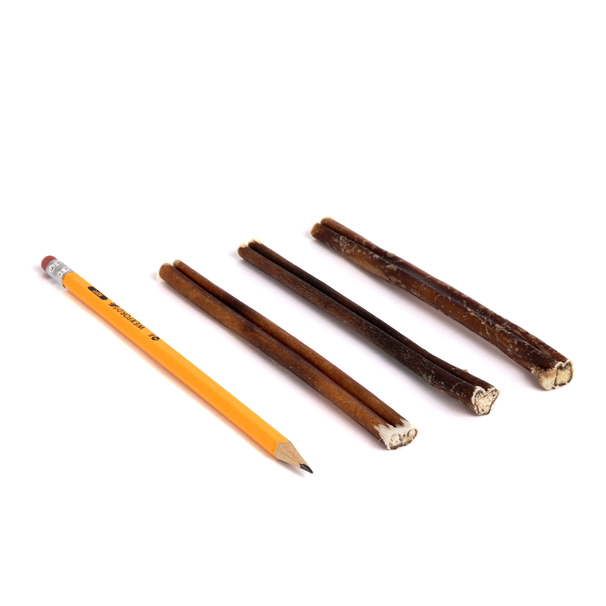 11-18-21-Bully-9-14-LO_A80A9936 6" Bully Sticks | Thin (9-14g) | Very Low Odor