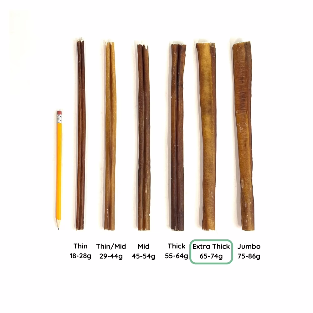 12" Bully Sticks | Extra Thick (65-74g) | Very Low Odor 5 12" Bully Stick Comparison Photo Extra Thick (from above)