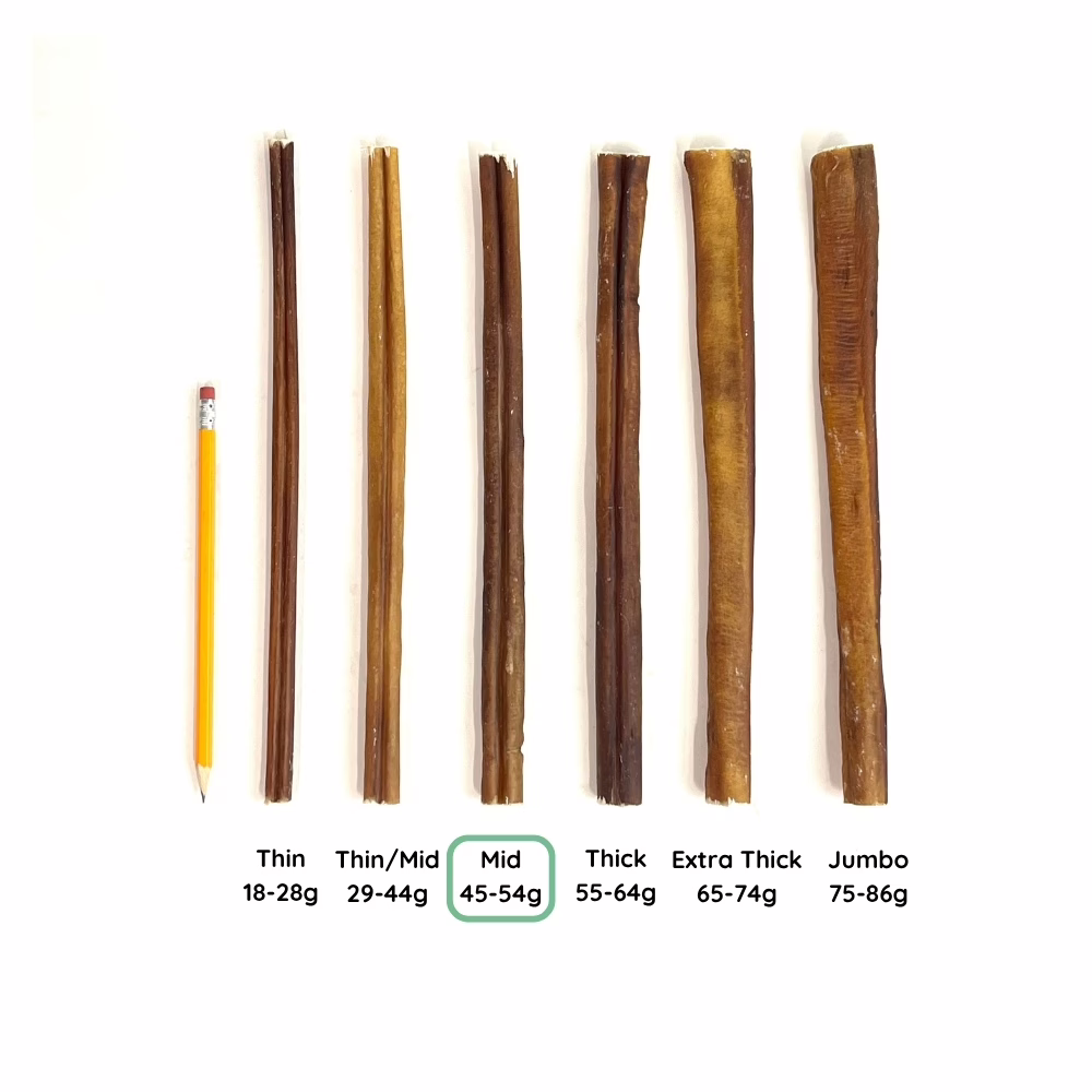 12" Bully Sticks | Mid (45-54g) | Very Low Odor 6 12" Bully Stick Comparison Photo Mid (from above)