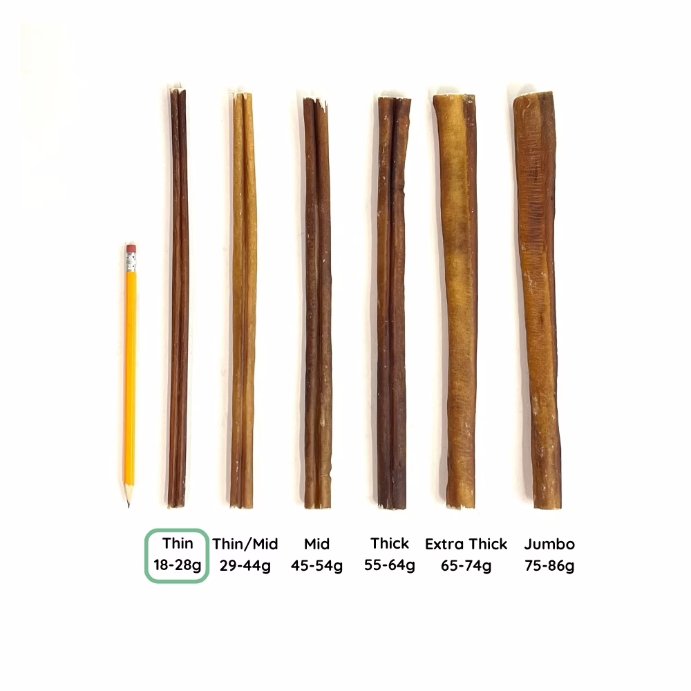 12" Bully Sticks | Thin (18-28g) | Very Low Odor 6 12" Bully Stick Comparison Photo Thin (from above)