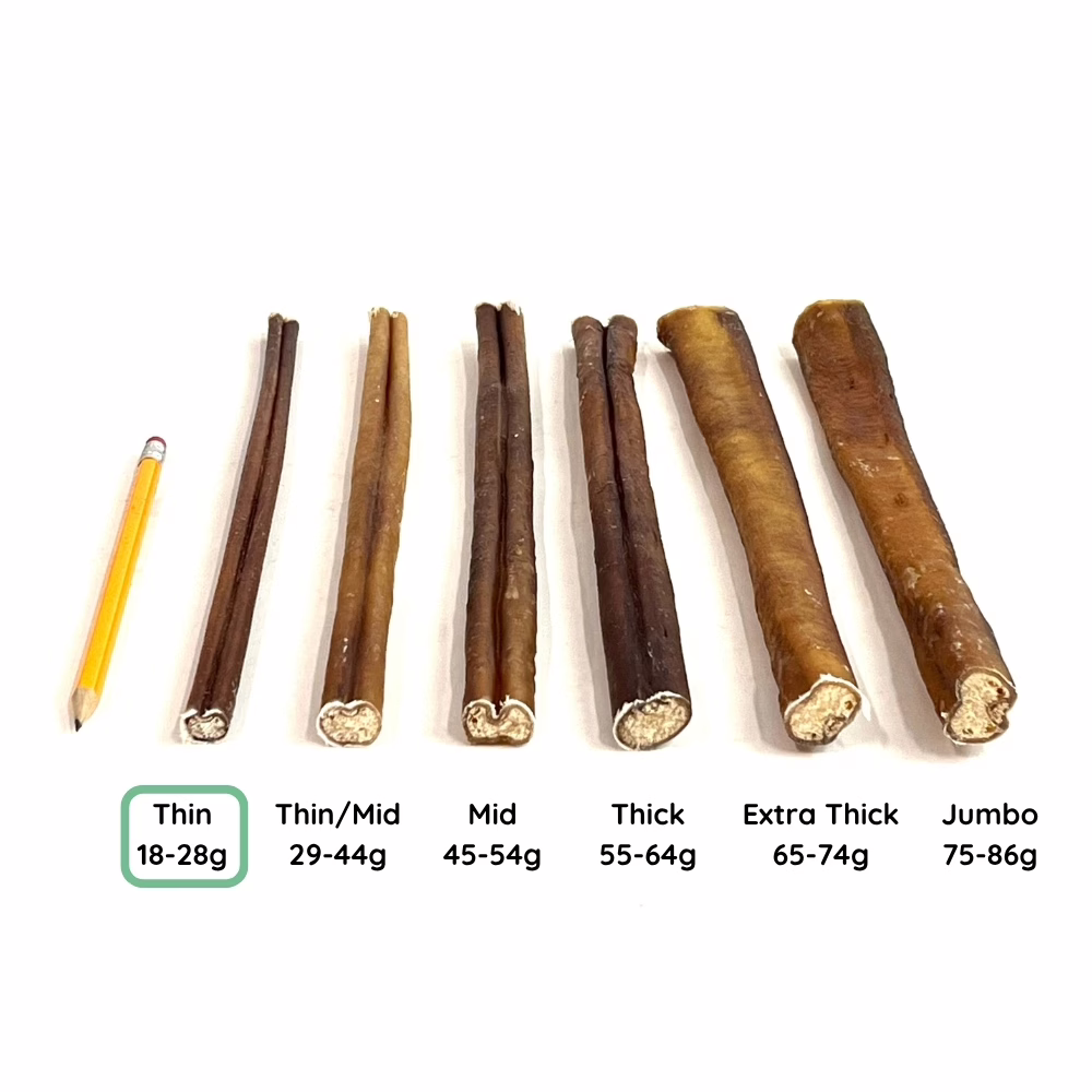 12" Bully Sticks | Thin (18-28g) | Very Low Odor 5 12" Bully Stick Comparison Photo Thin (from an angle)