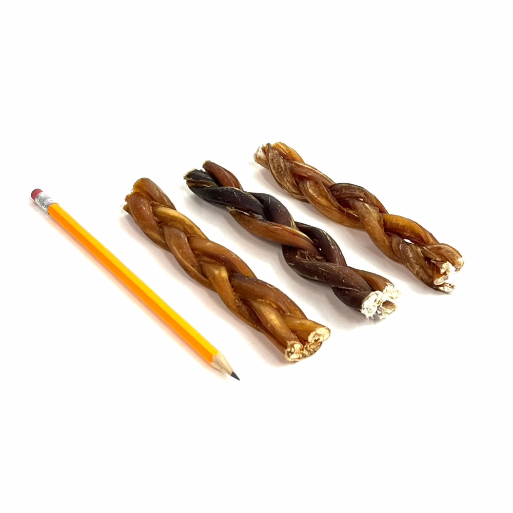 M3 6 braid 20-40g pencil 6" braided bully sticks, mid/thick, low-medium odor, next to a pencil