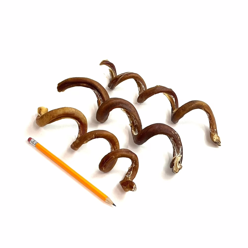 bully-spirals-25-65-grams-low-medium-odor-pencil-m6 Bully spirals, low-medium odor, next to a pencil for comparison