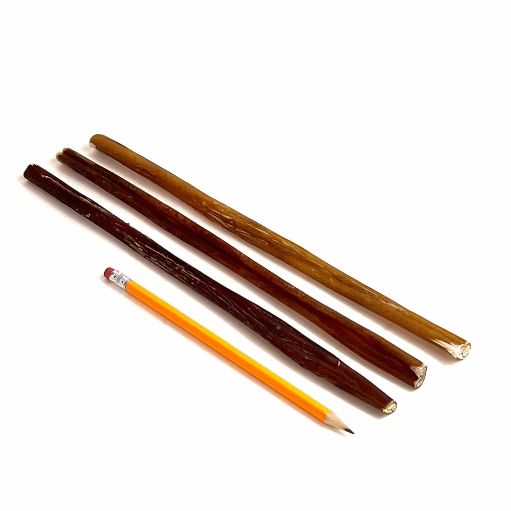 12-inch-bully-sticks-18-34-grams-low-medium-odor-pencil-m6 12" straight bully sticks, thin, low-medium odor, next to a pencil