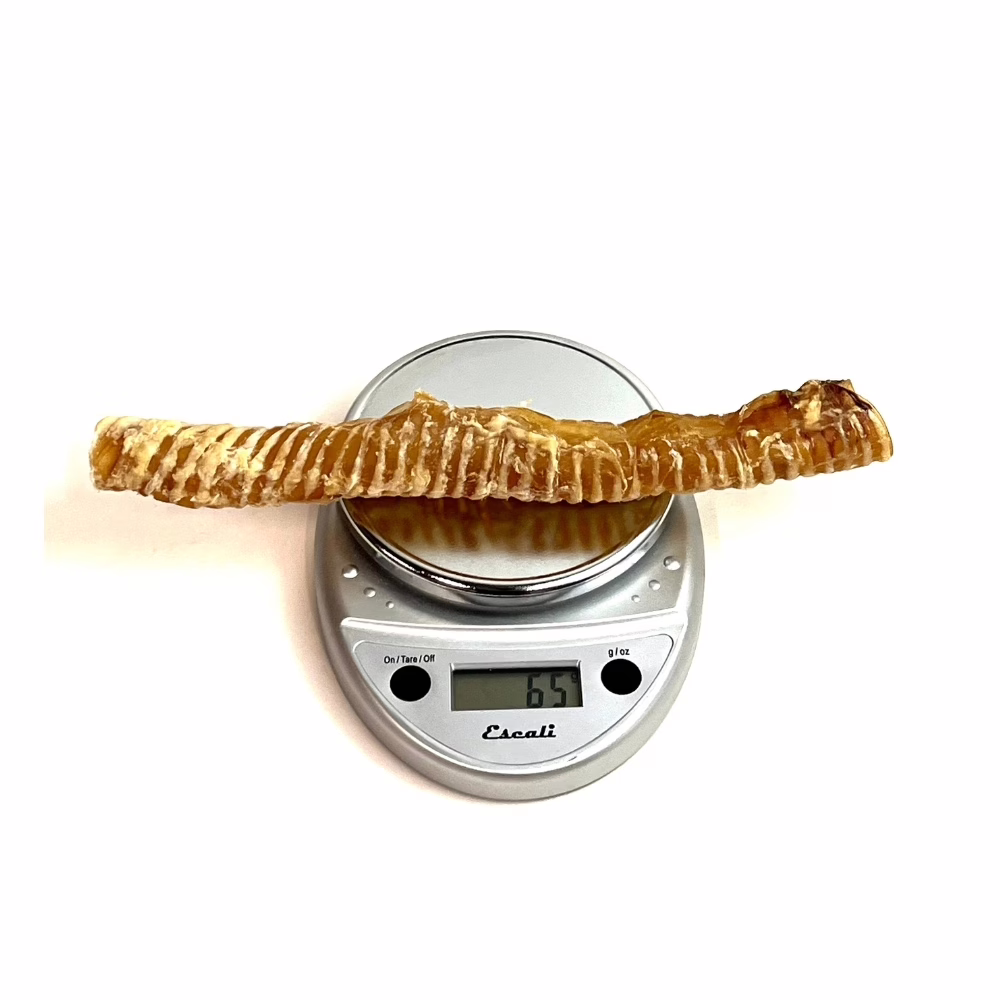 12" Beef Trachea | 40-100g | Very Low Odor 3 12" beef trachea, very low odor, on a scale