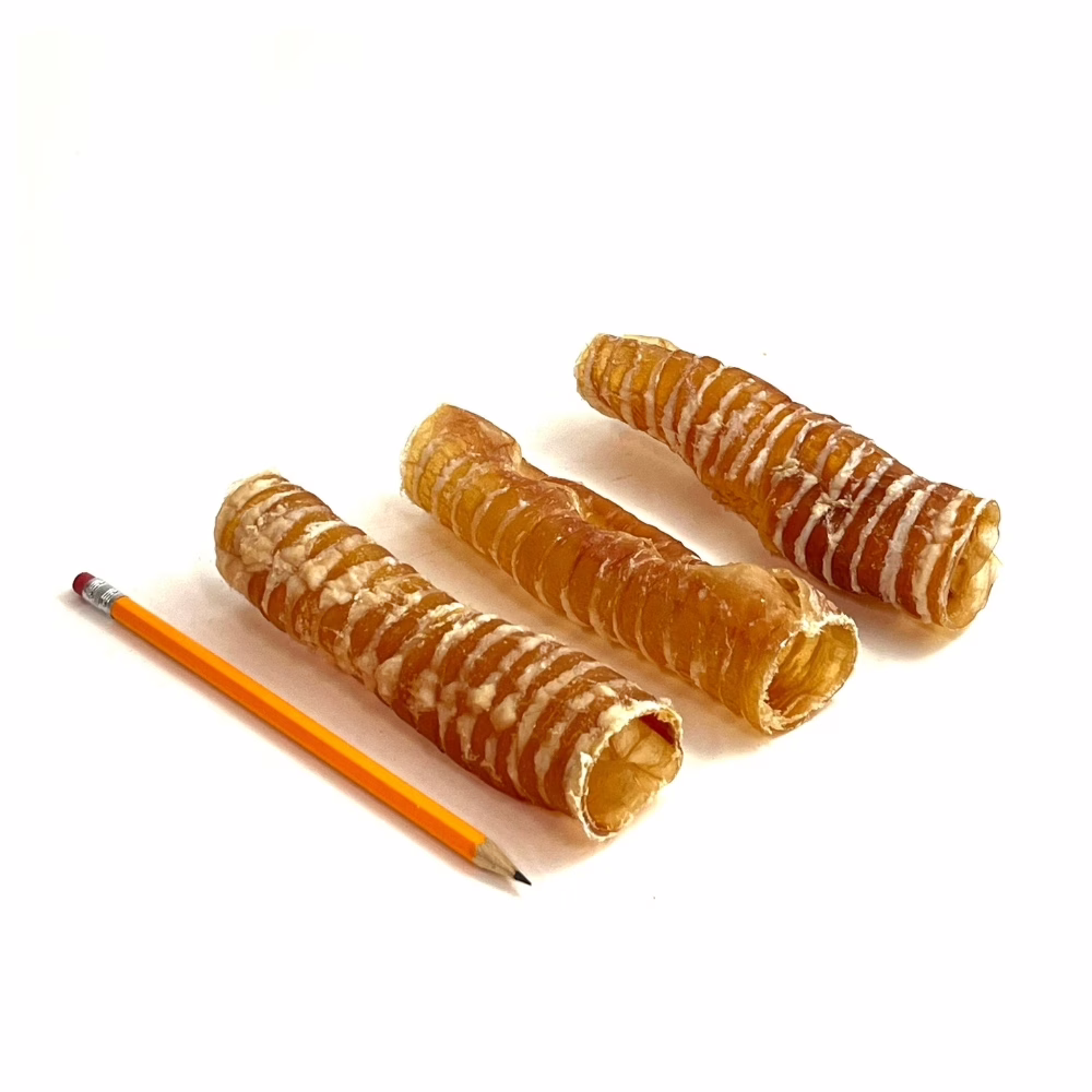 beef-trachea-6-inch-very-low-odor-pencil-m1 6" beef trachea, very low odor, next to a pencil