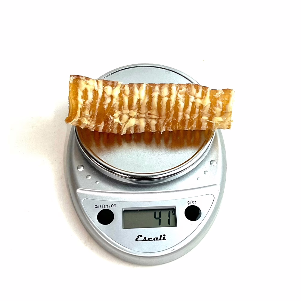 6" Beef Trachea | 20-50g | Very Low Odor 3 6" beef trachea, very low odor, on a scale