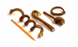 Wholesale & Bulk Bully Sticks 4