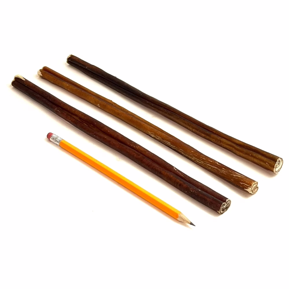 12-inch-bully-sticks-35-47-grams-low-medium-odor-pencil-m6 12" straight bully sticks, mid, low-medium odor, next to a pencil