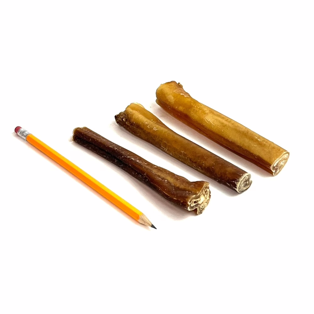 6 jumbo 36-47+ pencil m6 6" straight bully sticks, jumbo, low-medium odor, next to a pencil