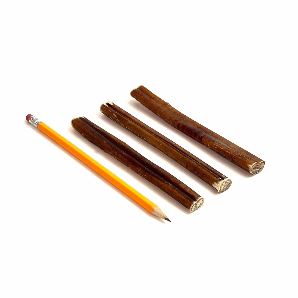 6-inch-bully-sticks-18-27-grams-low-medium-odor-pencil-m6 6" straight bully sticks, mid, low-medium odor, next to a pencil