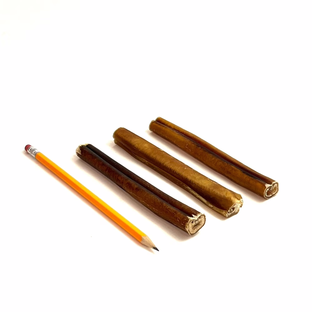 6-inch-bully-sticks-28-35-grams-low-medium-odor-pencil-m6 6" straight bully sticks, thick, low-medium odor, next to a pencil