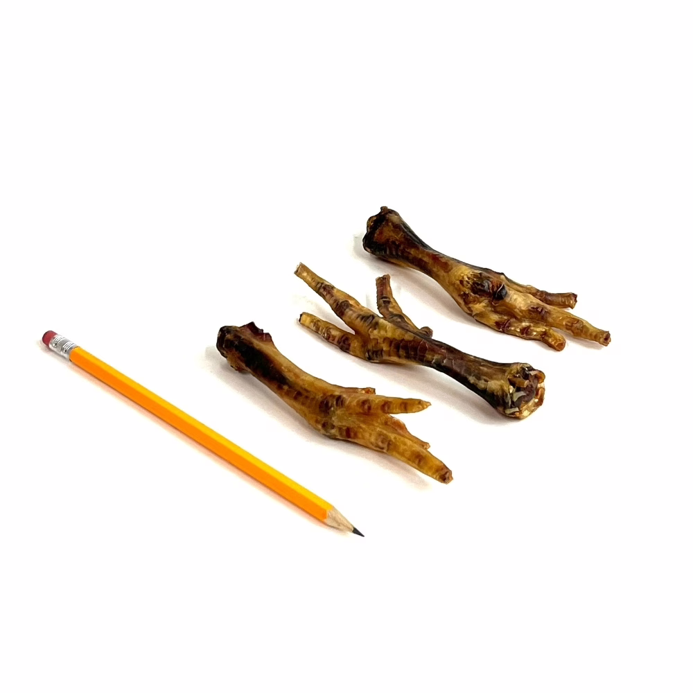 chicken-feet-pencil-m15 Chicken Feet next to a pencil