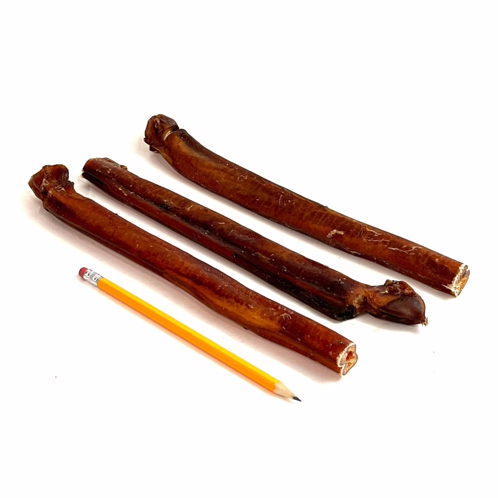 12-inch-bully-sticks-jumbo-overcooked-imperfect-appearance-low-odor-pencil-m15 12" straight bully sticks, jumbo, overcooked, imperfect appearance, low odor, pencil
