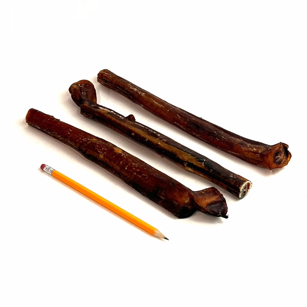 12-inch-bully-sticks-extra-jumbo-overcooked-imperfect-appearance-low-odor-pencil-m15 12" straight bully sticks, extra jumbo, overcooked, imperfect appearance, low odor, pencil