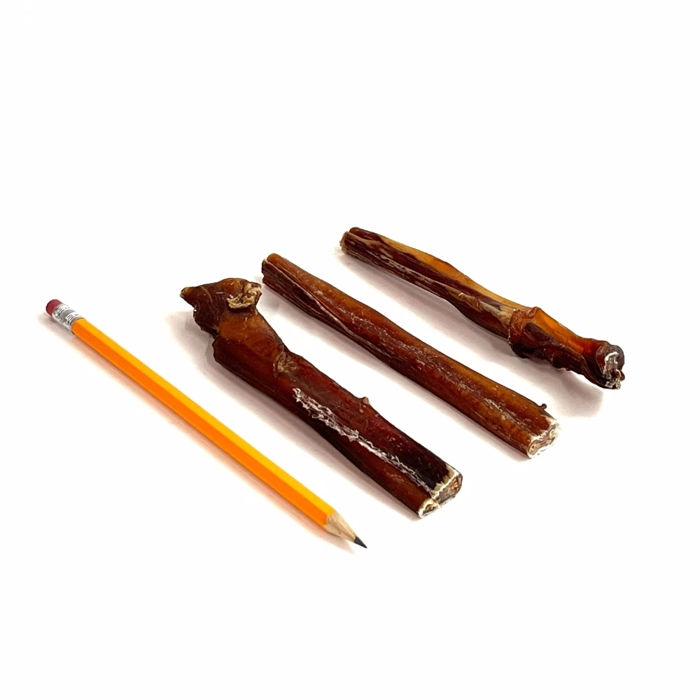 6-inch-bully-sticks-mid-slightly-overcooked-imperfect-appearance-low-odor-pencil-m15 6" straight bully sticks, mid, slightly overcooked, imperfect appearance, low odor, next to a pencil