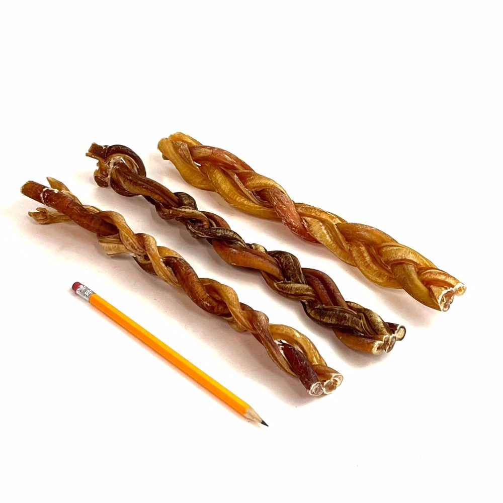12-inch-braided-bully-sticks-jumbo-low-medium-odor-pencil-m6 12" braided bully sticks, jumbo, low-medium odor, next to a pencil
